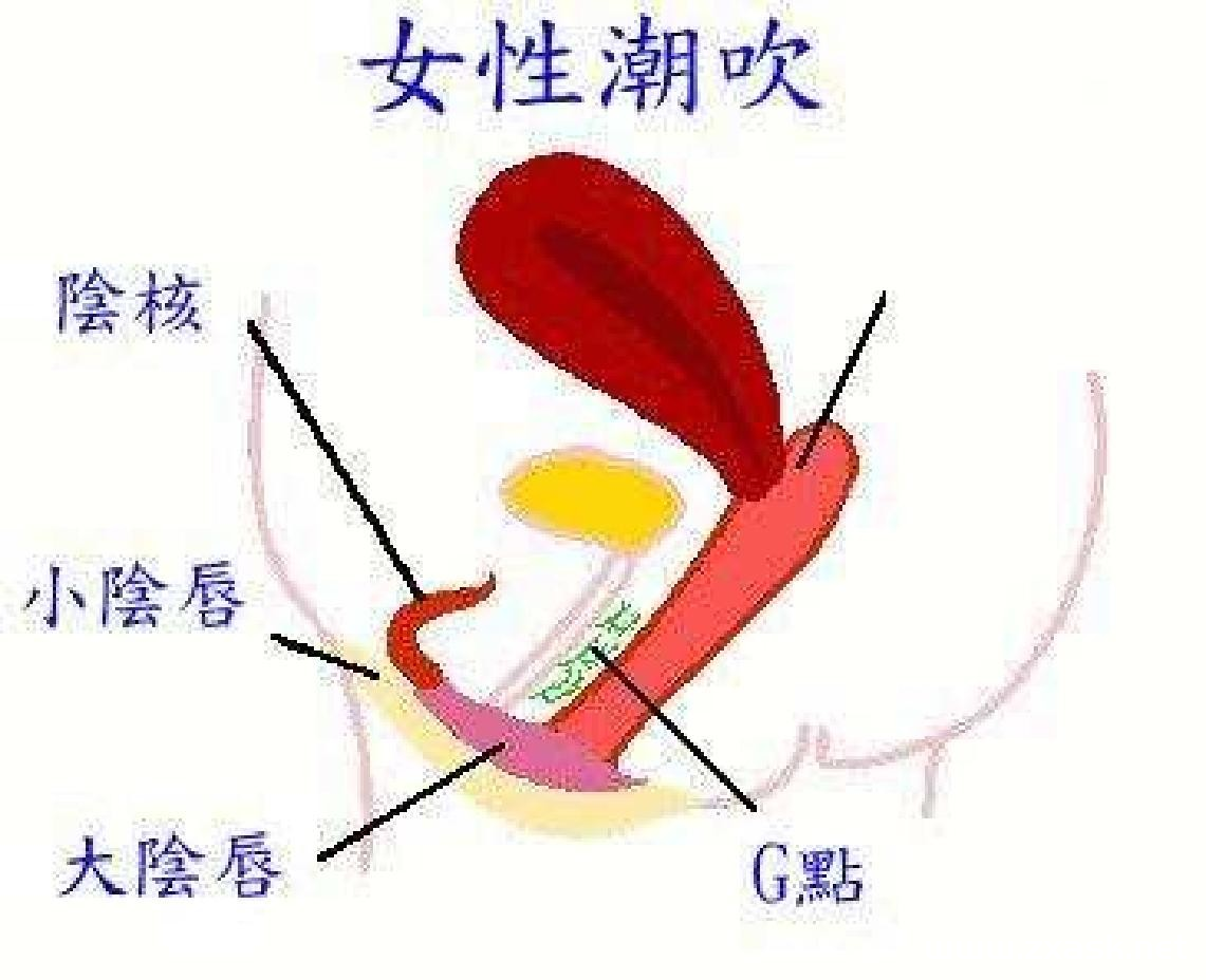 ny78q4.png ny78q4.png