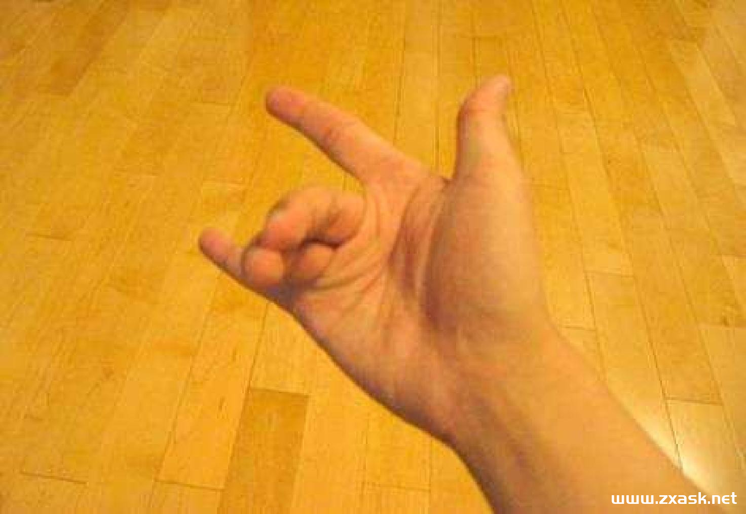 ny8wfg.png ny8wfg.png