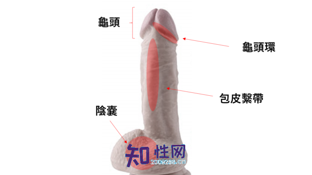 虏获男友的日本式口交技巧.jpg 虏获男友的日本式口交技巧.jpg