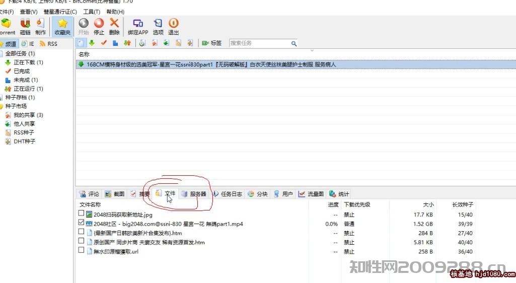 迅雷敏感资源无法怎么办?敏感磁力链接迅雷下载方法.jpg 迅雷敏感资源无法怎么办?敏感磁力链接迅雷下载方法.jpg